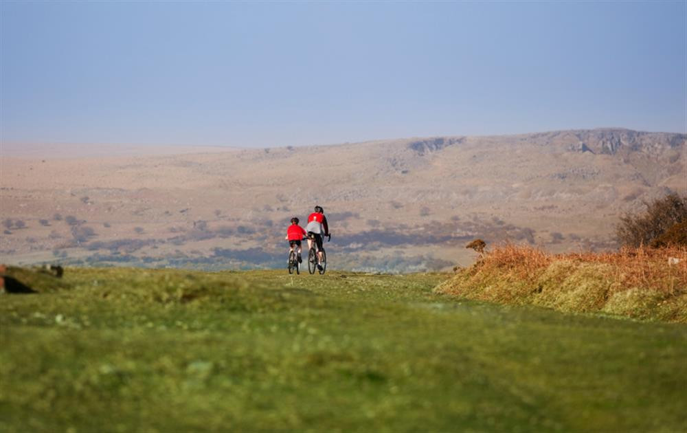 Cycling on Dartmoor. 