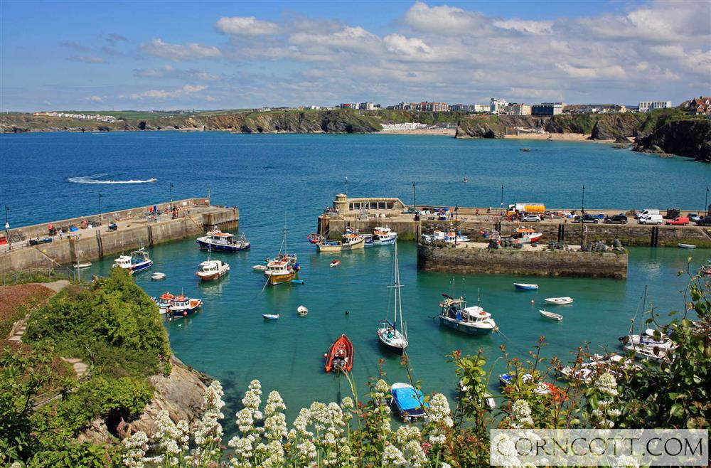 Newquay harbour