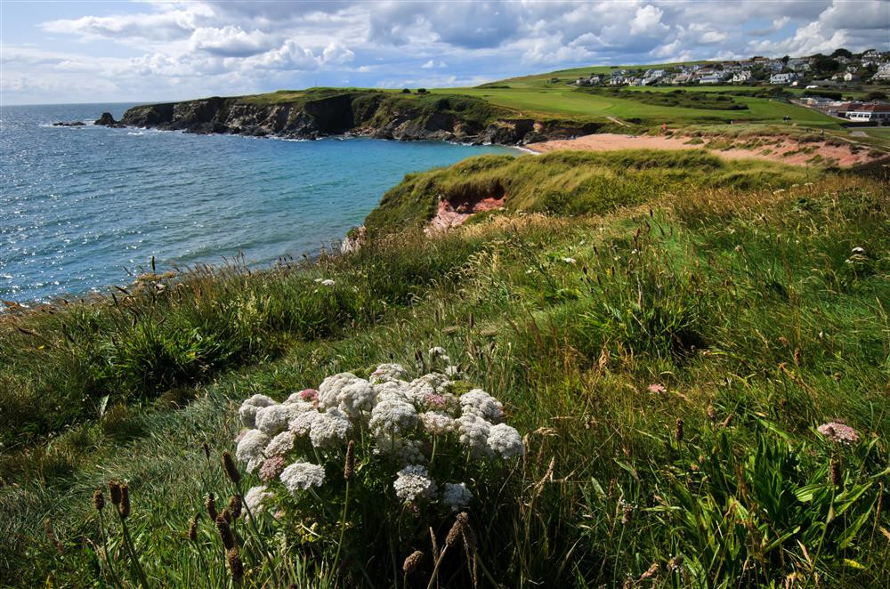 The famous golf course and Yarmer Estate, home to Lower Goosewell, sit on a glorious stretch of coastline overlooking Yarmer Beach