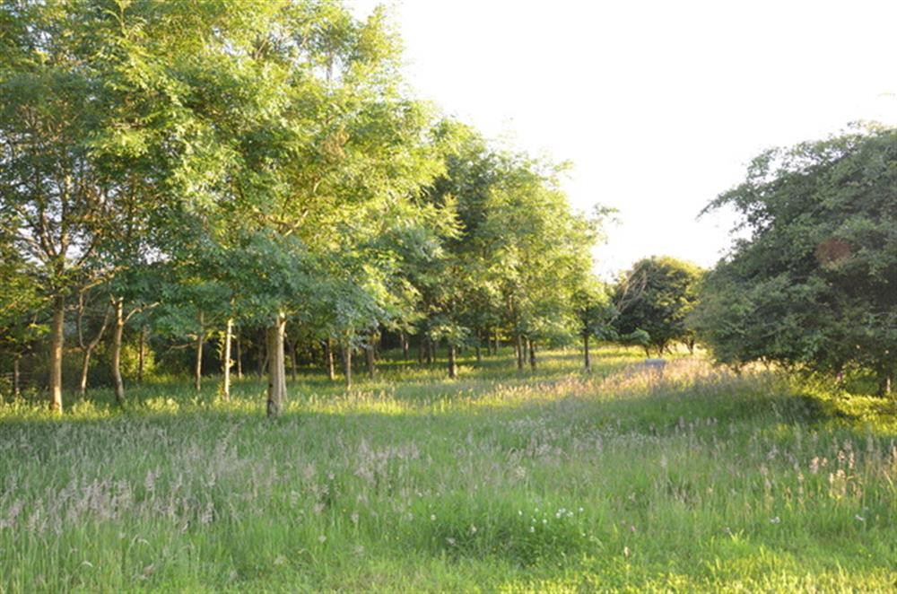 Enjoy the grounds 