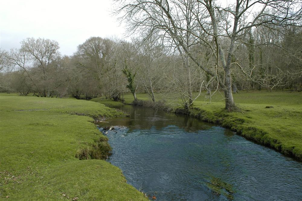 View of the river and grounds