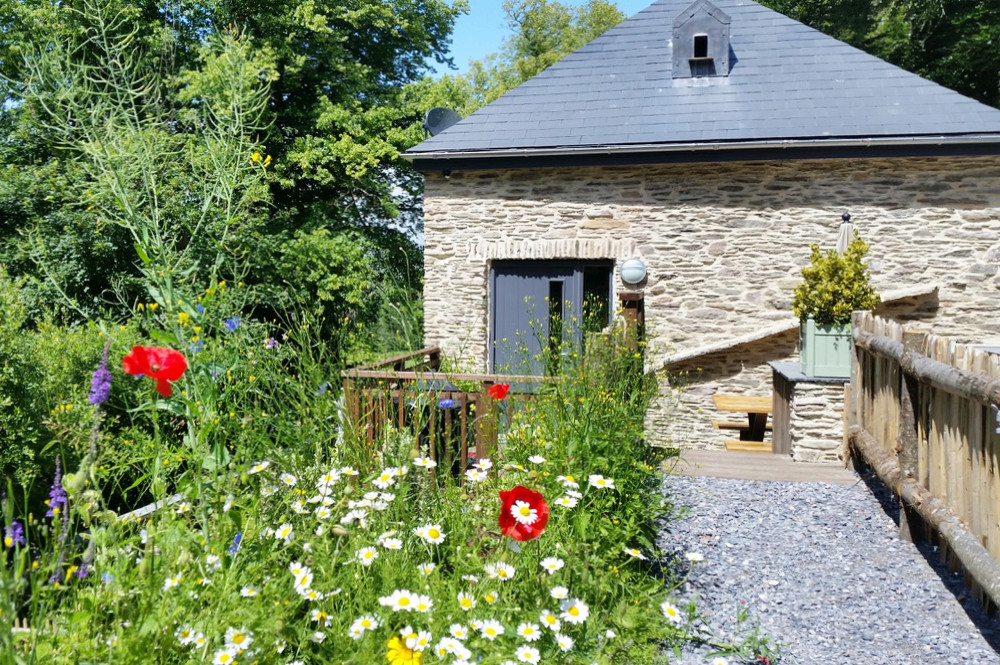 Willowplatt Barn with beautiful wild flowers 