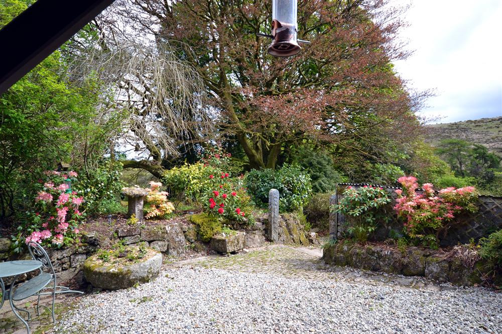 Courtyard outside front door.