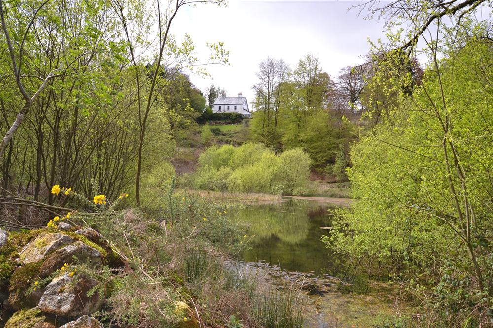 Lake in the grounds, Moorlands cottage to the left of the farmhouse.