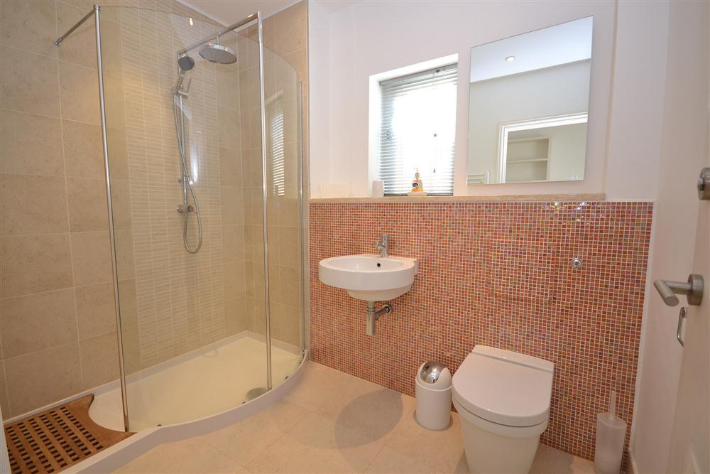 The fabulous family shower room.