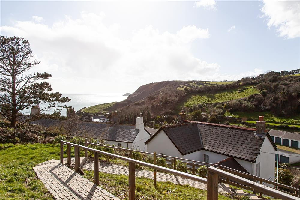 View from rear garden