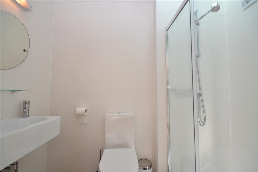 The master bedroom en suite shower room