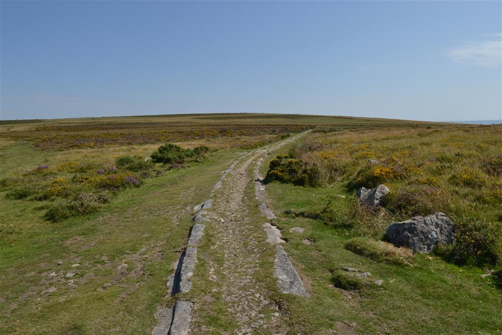 Datmoor offers so many wonderful walking opportunities.