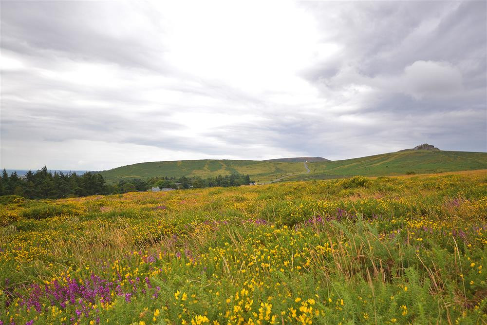 Moorland views towards Haytor from behind Haytor Barns.