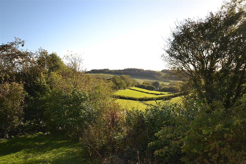 The view from the patio, living room, dining room and most bedrooms