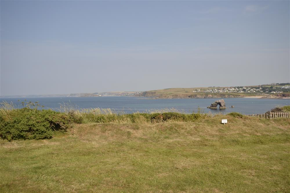 View from Sea Lavender