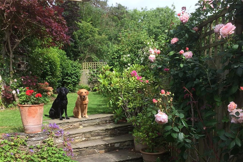 Hollyhocks Cottage Image 9