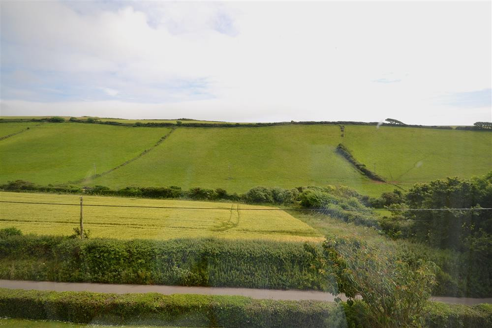 The view from the lounge and dining area