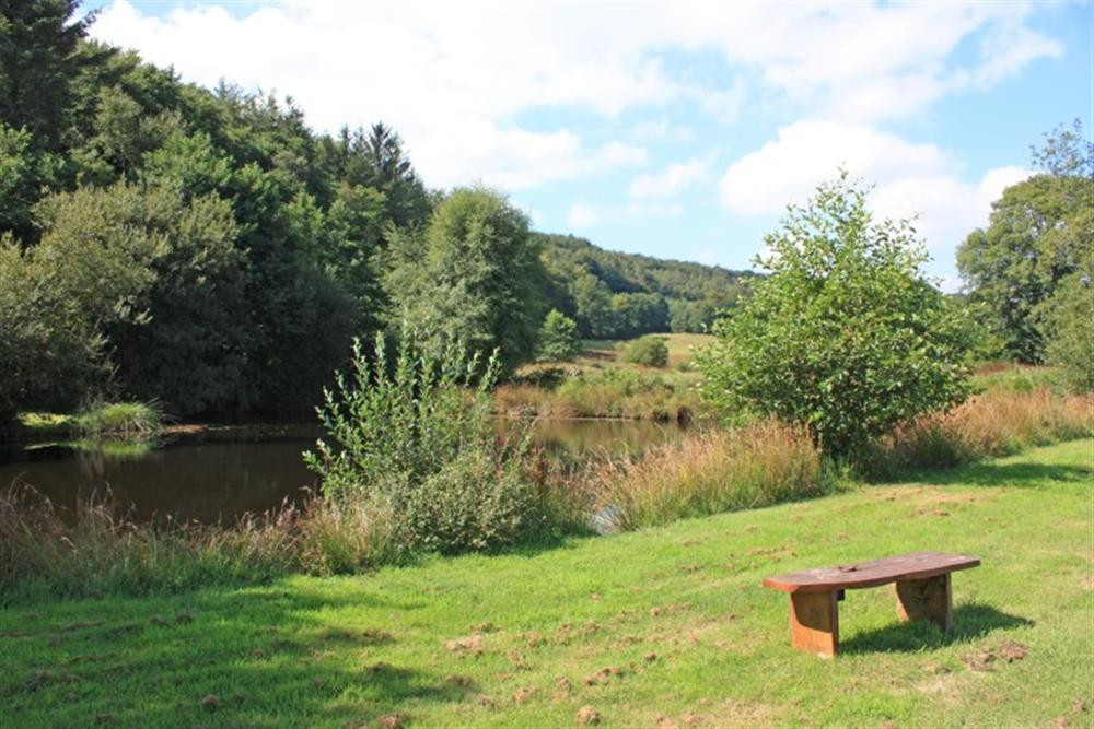 Sit and contemplate down by the lake