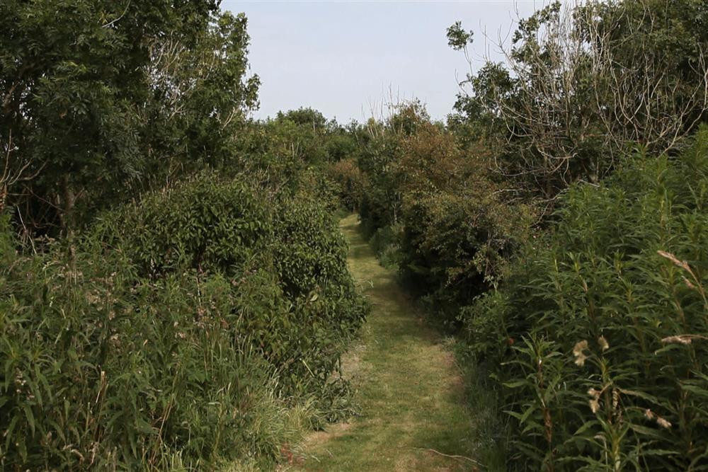 Lovely walks to explore