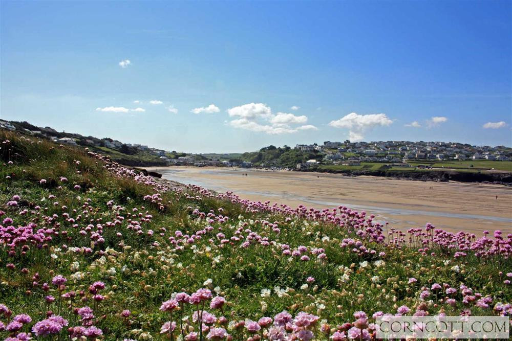 Polzeath beach