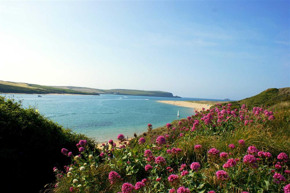 Camel estuary