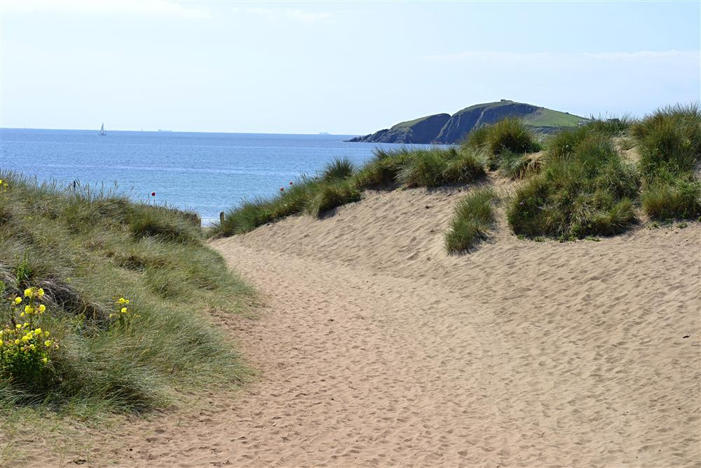 Bantham dunes 2