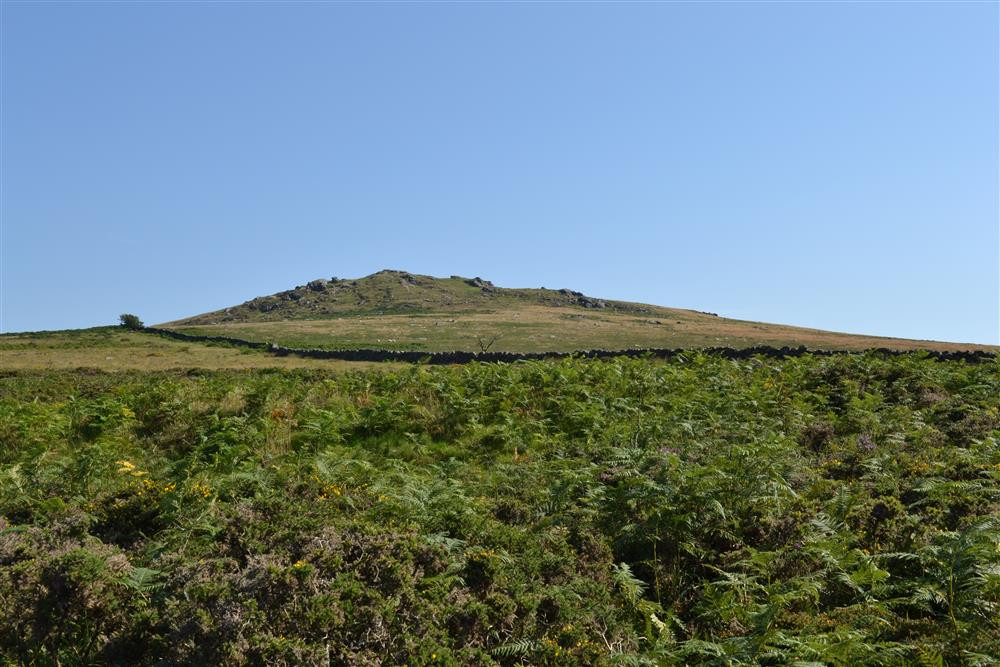 More Dartmoor scenery.