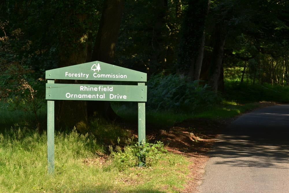 Bolderwood on the ornamental drive