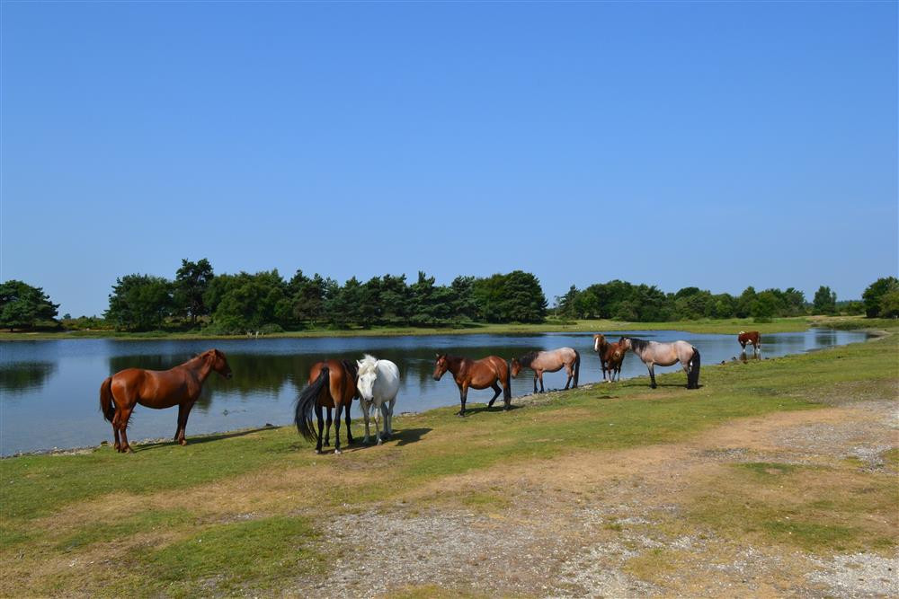 Property image 34 for THCB315