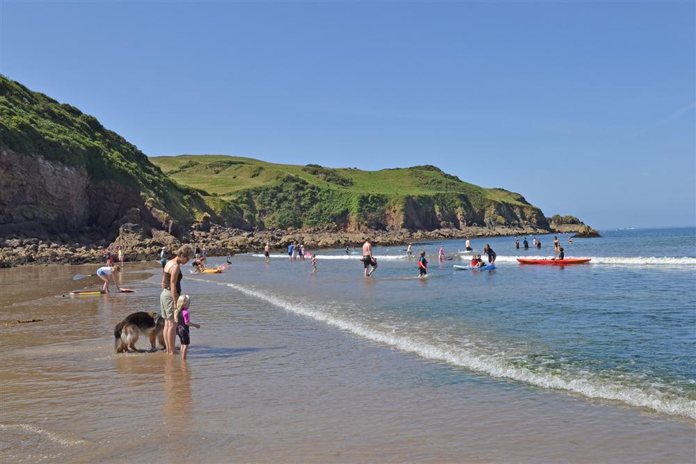 Hope Cove beach allows dogs on leads