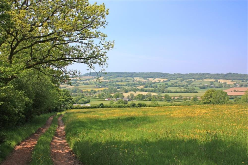 A view from one of the farm walks - just minutes from the cottage