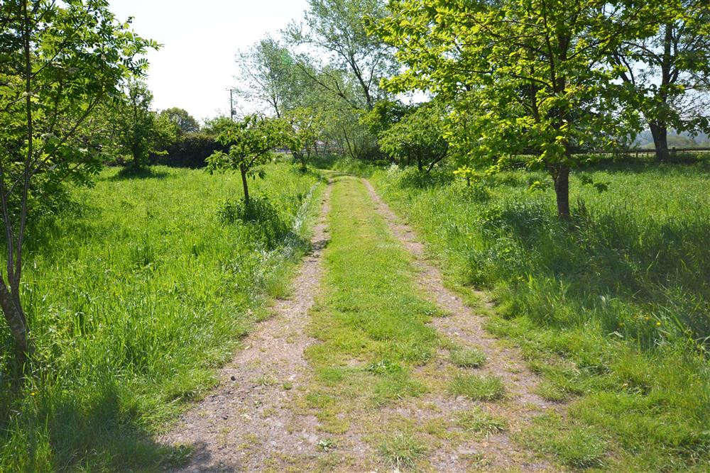 Driveway leading to Pinns Farm Bungalow