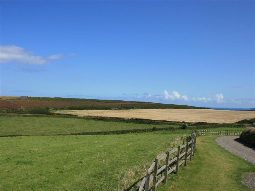 Carlean Farm