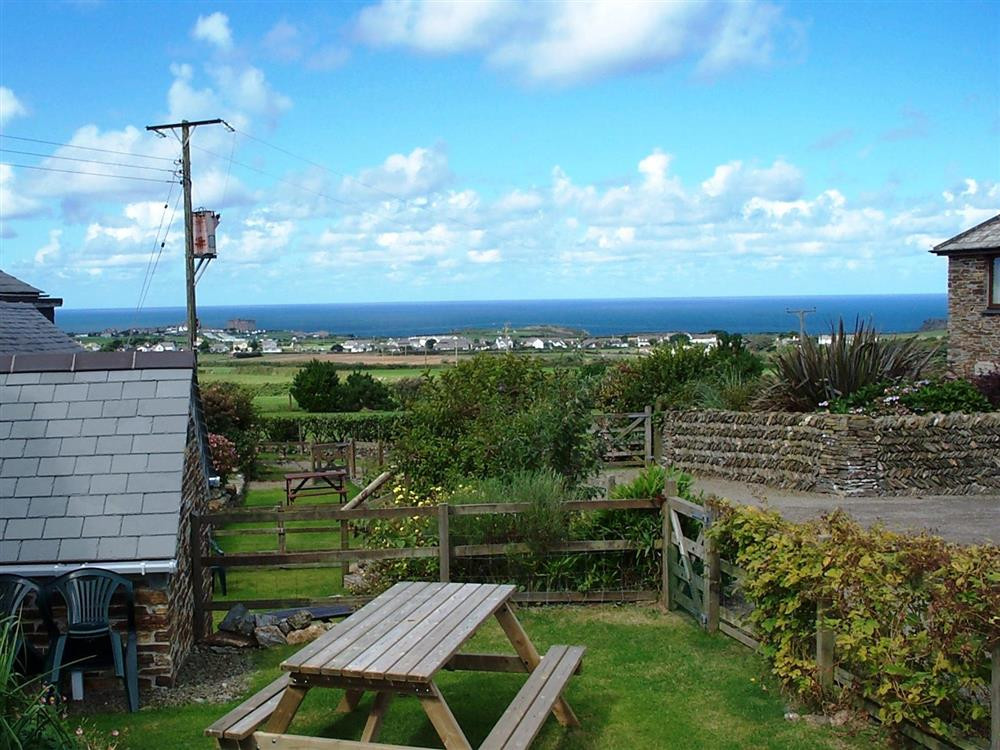 Garden and view