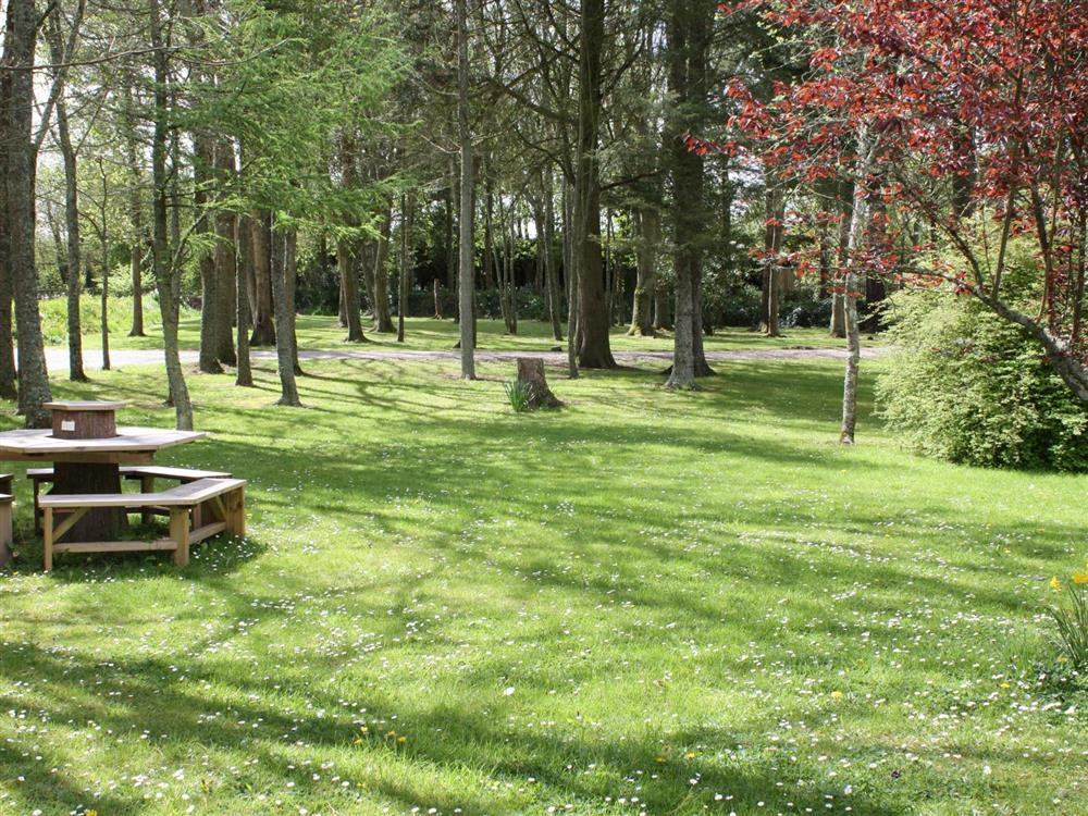Garden and view