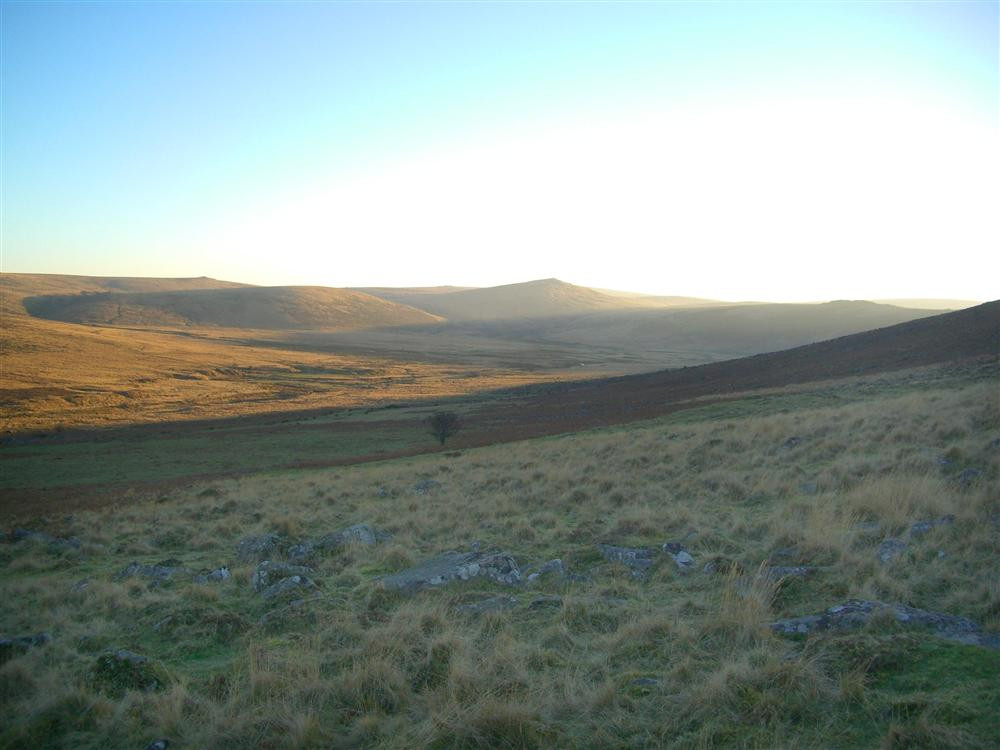 Typical moorland scene from Belstone tor.
