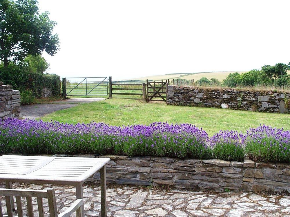 Rear terrace and view