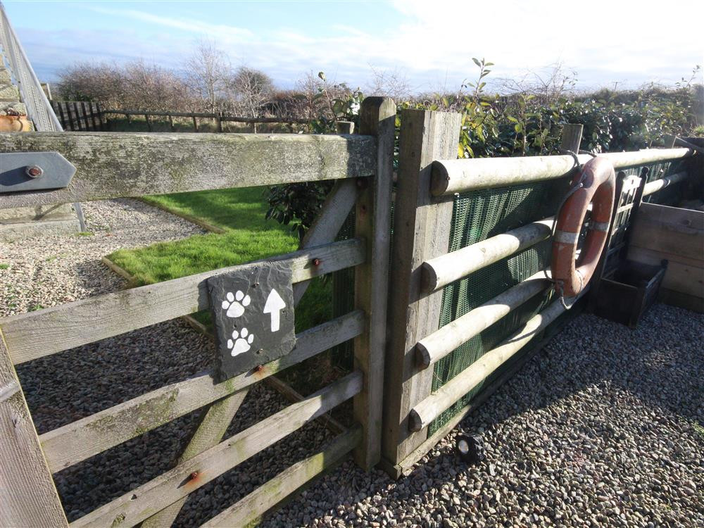 Special dog walks on the doorstep