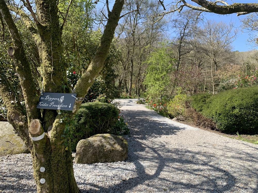 Dippers gravel drive