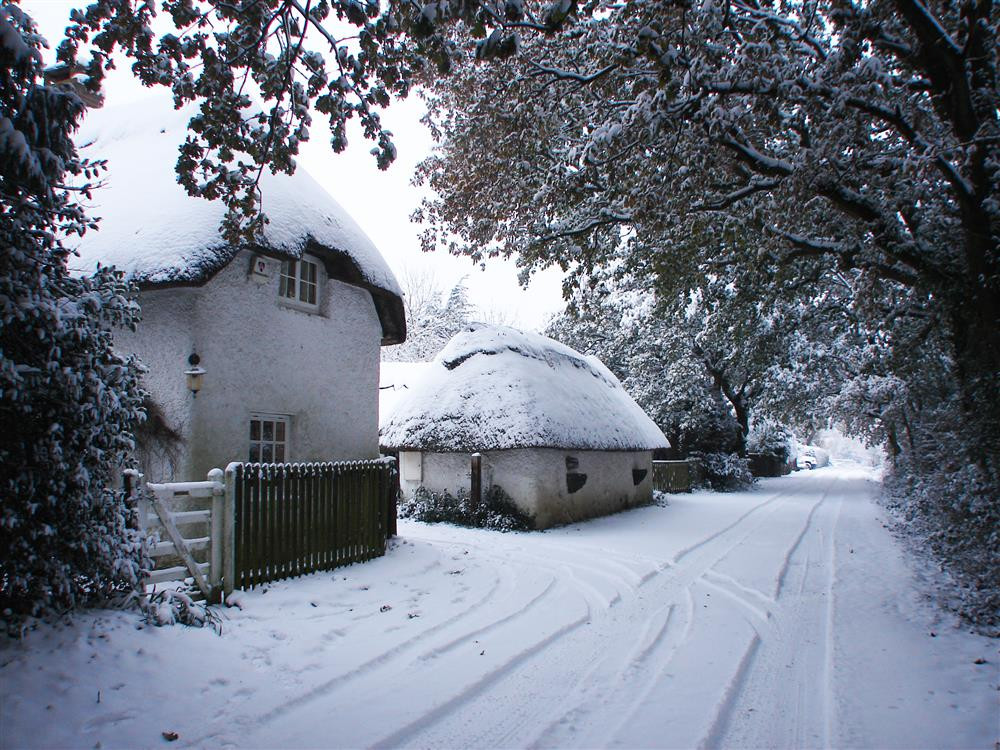 Little Cottage Image 19