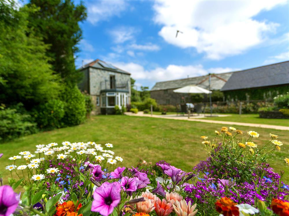 Pretty garden