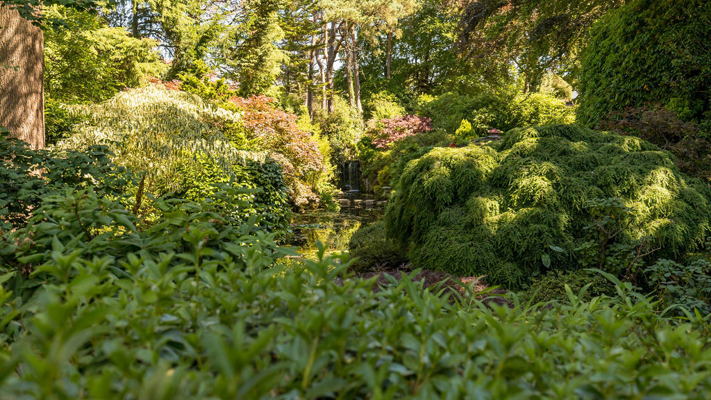 Property image 38 for THCSUMHOU