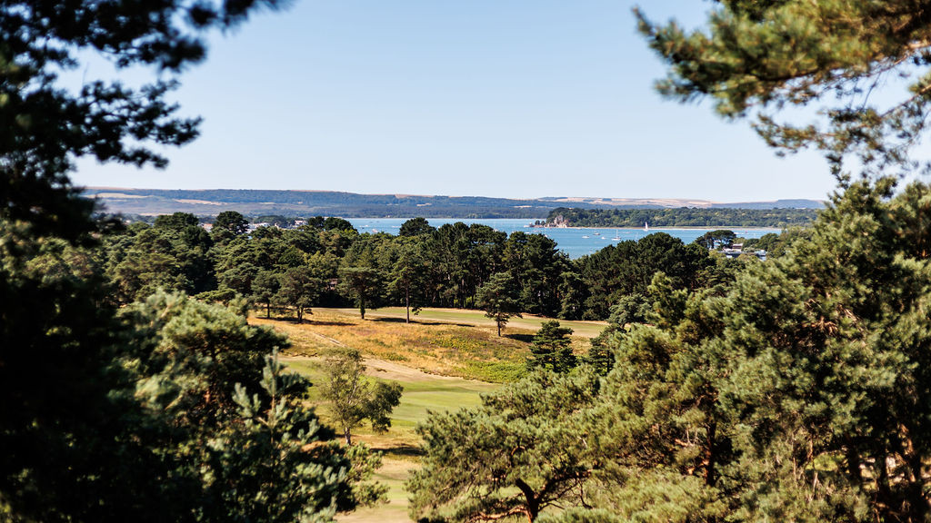 Property image 39 for THCSUMHOU