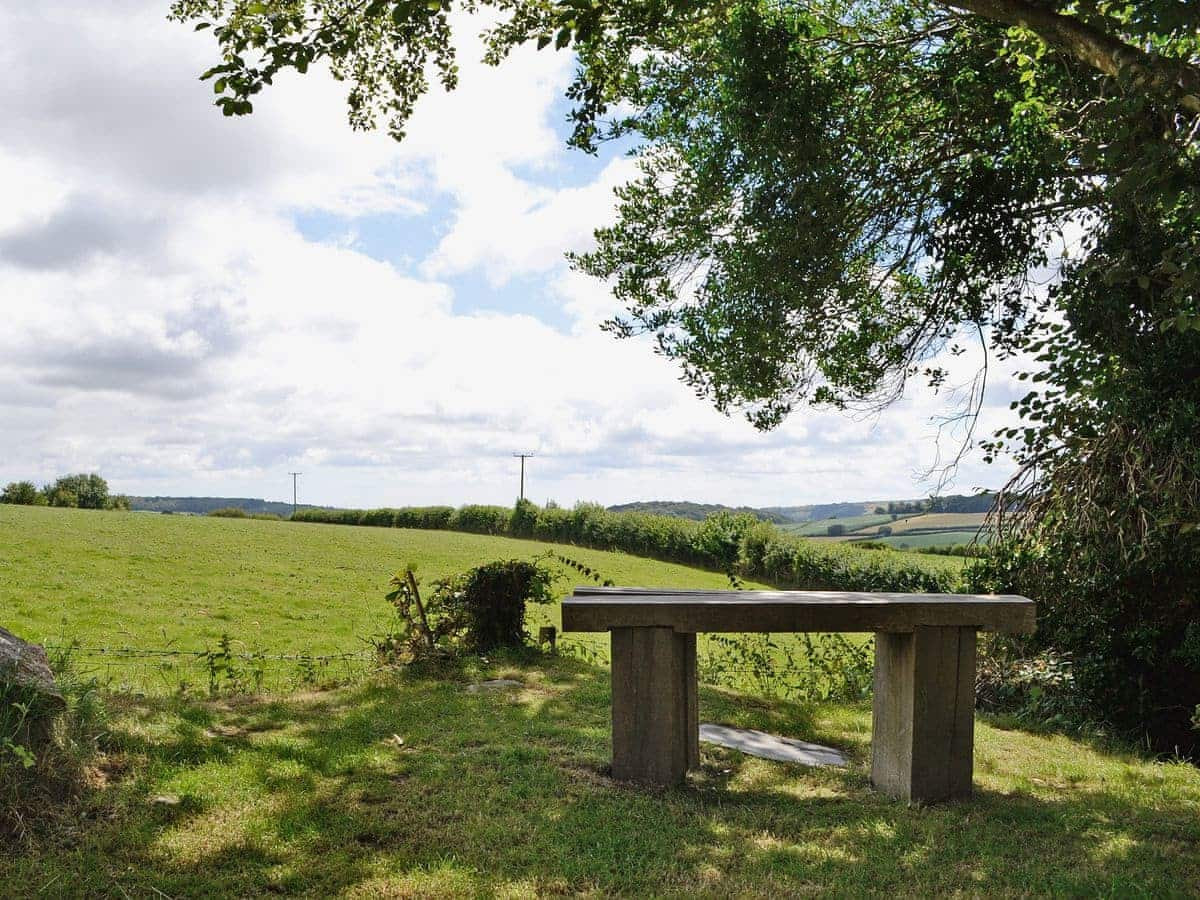 Bench with a view!