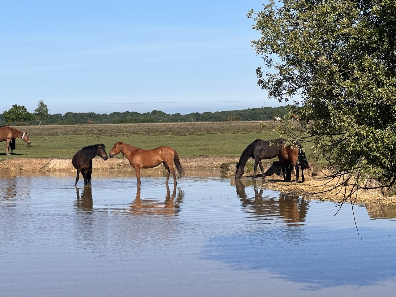 Property image 35 for THCA927