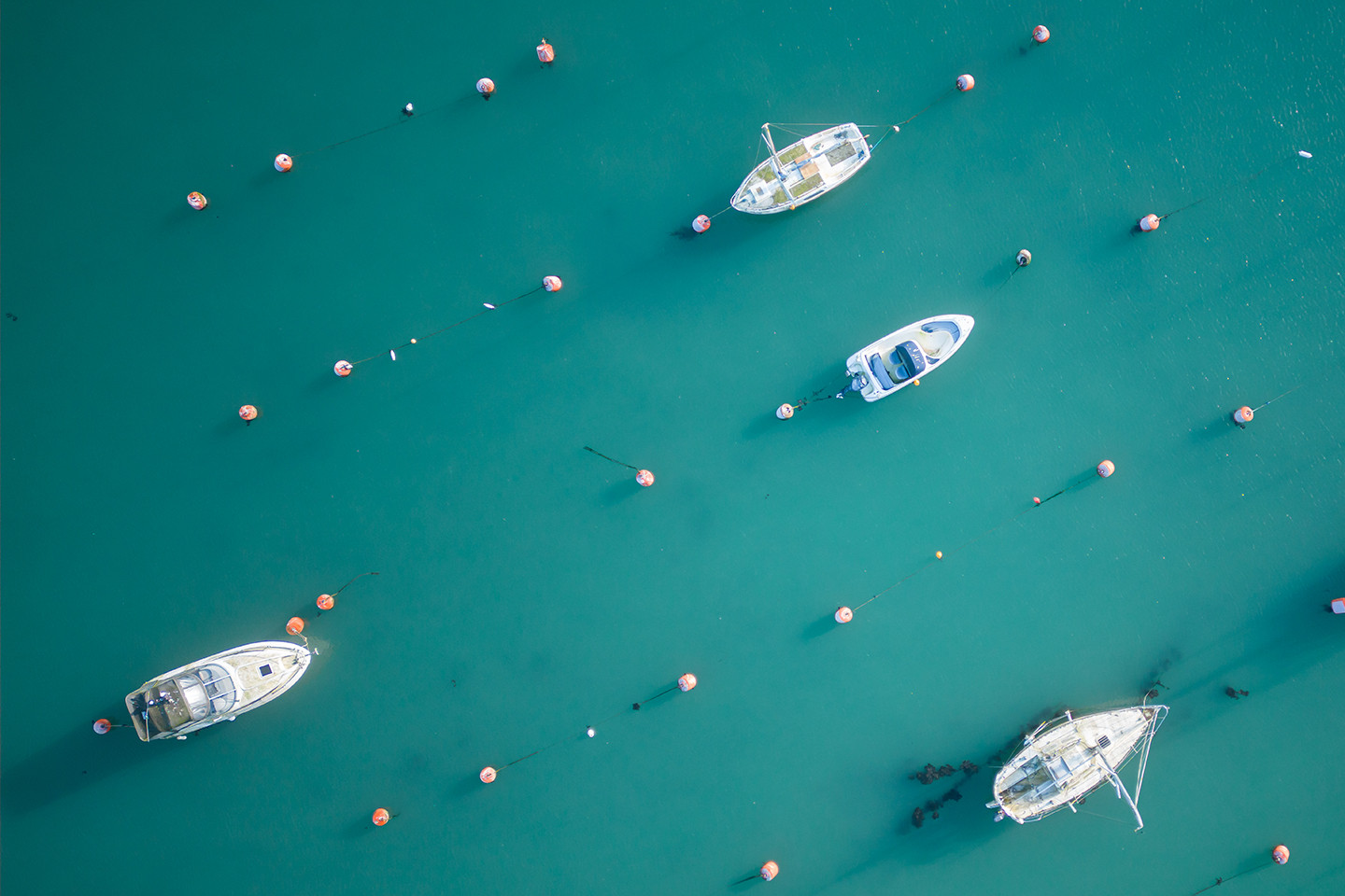 Property image 10 for THC1HARB