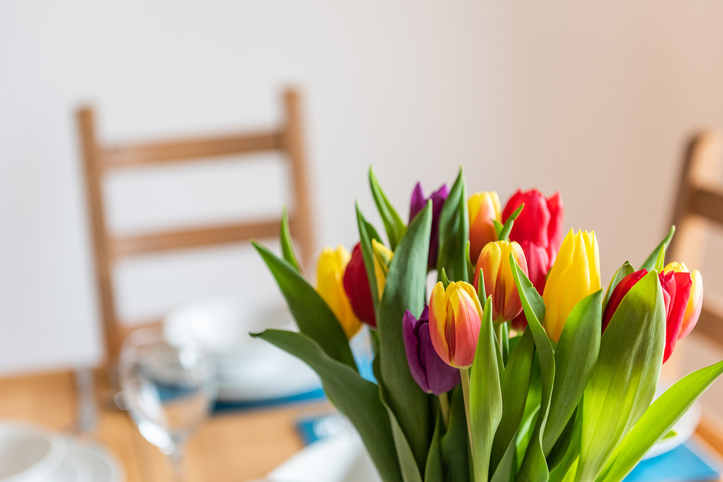 Property image 14 for THCWAVEL