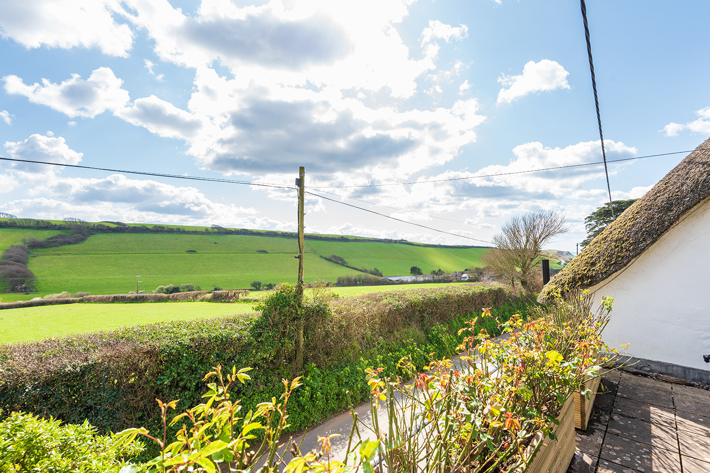Views from the roof deck.