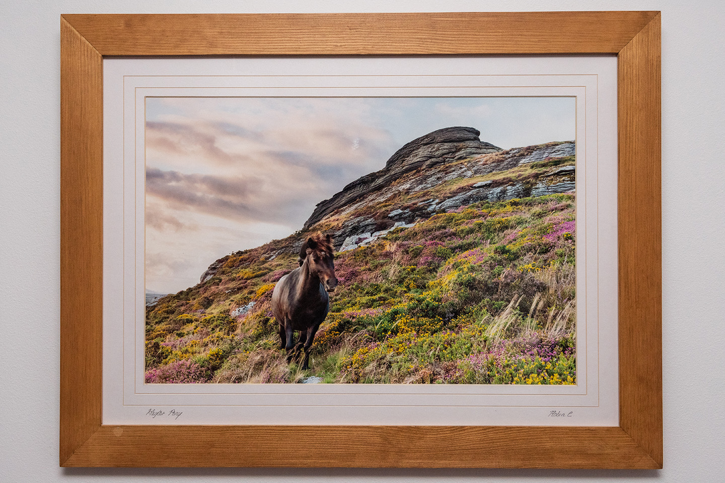 Property image 30 for THCRAYLAN