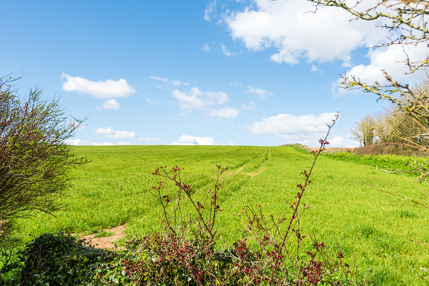 Fields surround the property! 