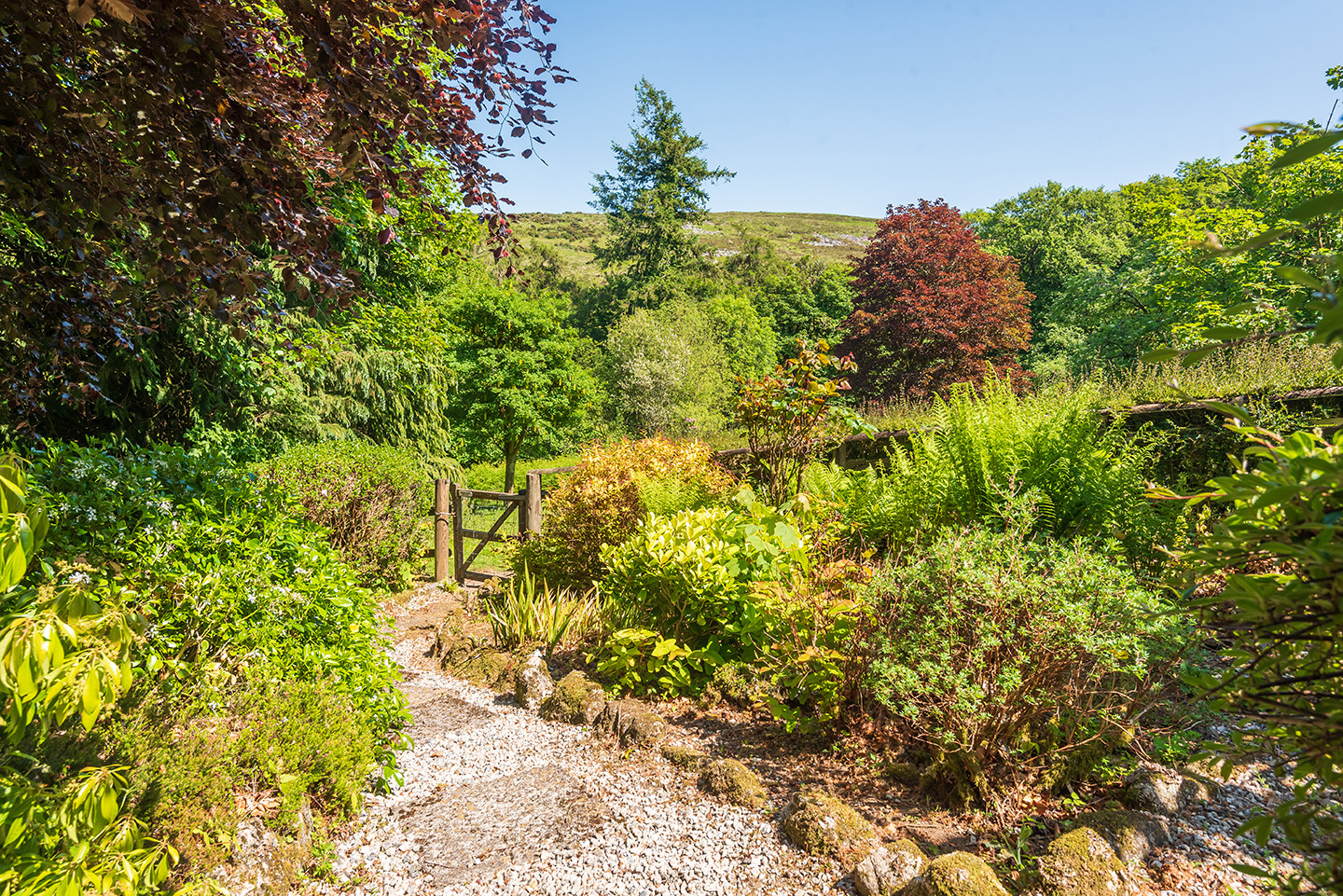 Property image 8 for THCMOORC