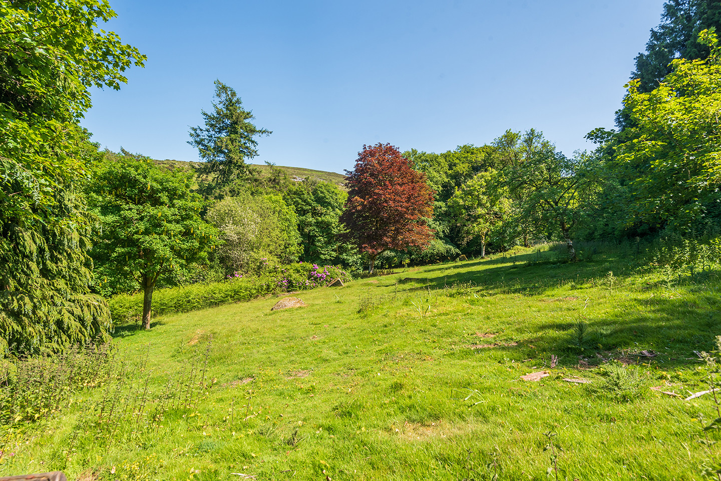 Property image 12 for THCMOORC