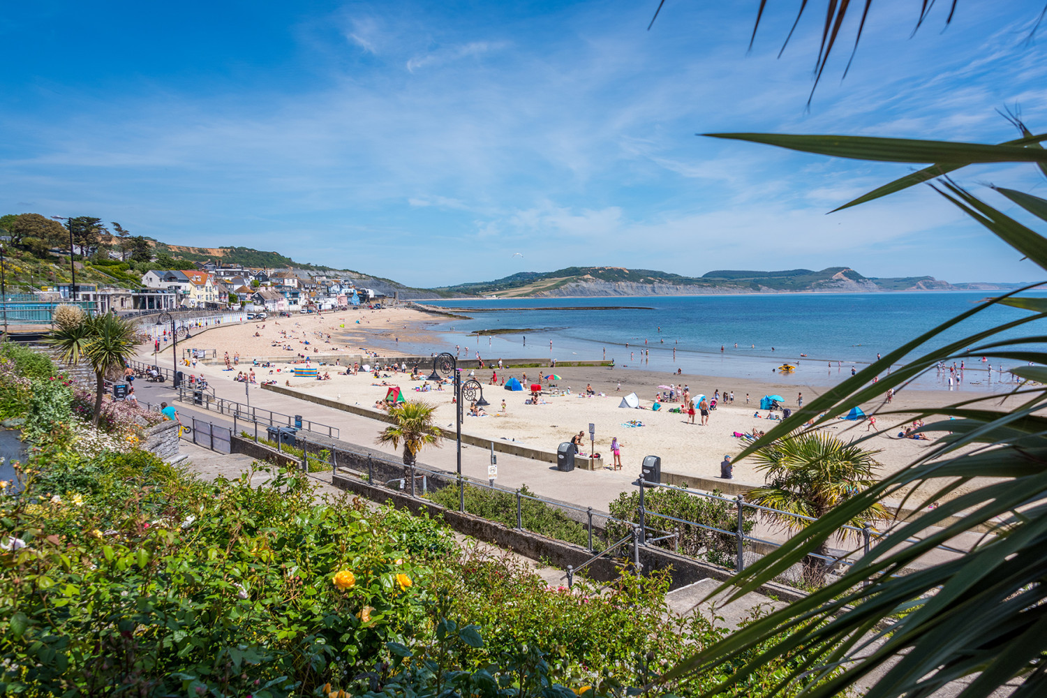 Property image 27 for THCALCOVE