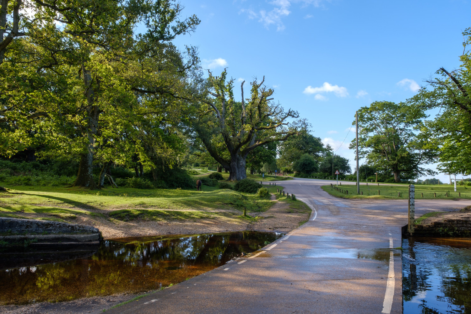 Property image 41 for THCA732